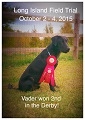 Vader earns 2nd in Long Island derby